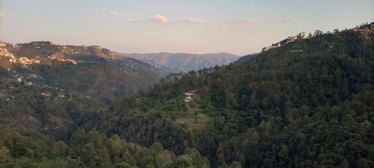 Thakur Homes- Couple And Family Friendly Homestay Σίμλα Εξωτερικό φωτογραφία