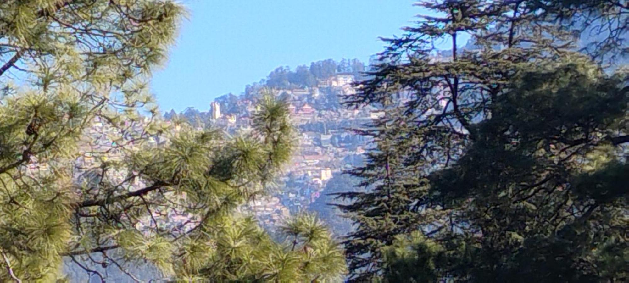 Thakur Homes- Couple And Family Friendly Homestay Σίμλα Εξωτερικό φωτογραφία